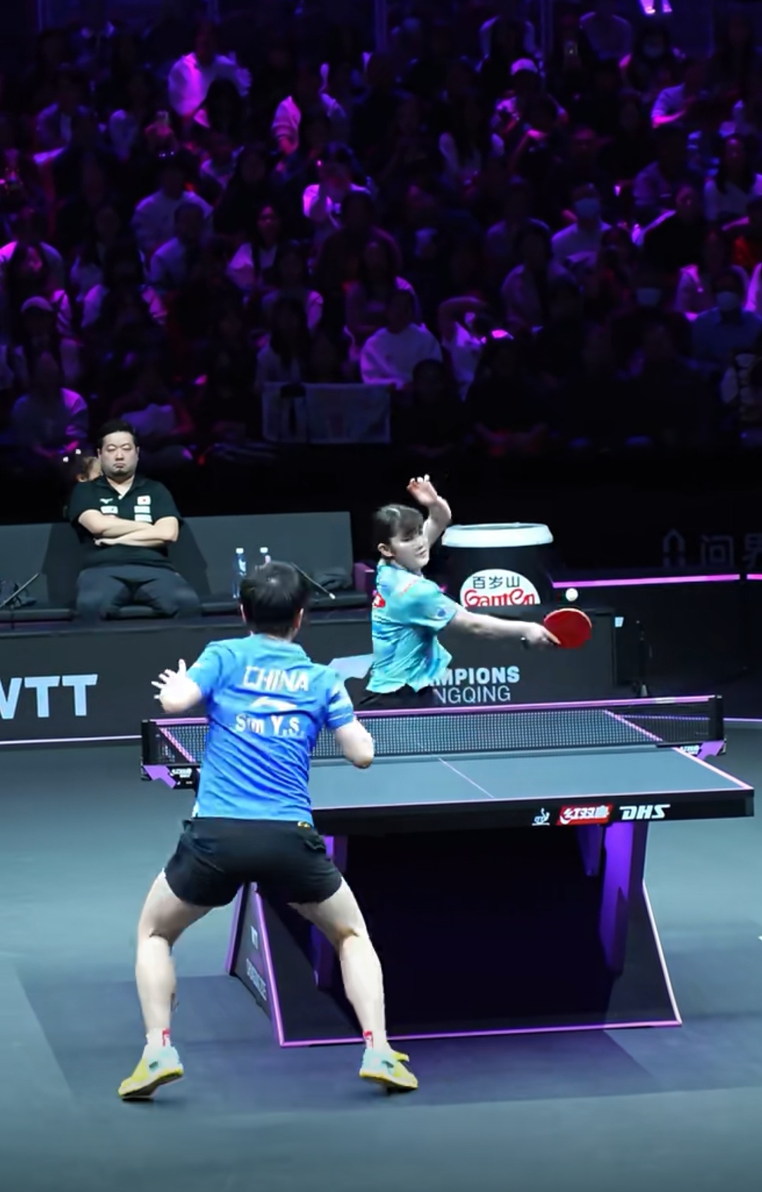 法国乒乓球队轻取英国乒乓球队，王皓三分雨点燃全场的简单介绍