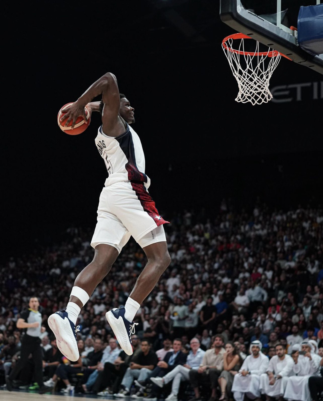 魔术鏖战德国男篮，艾顿高光表现的简单介绍