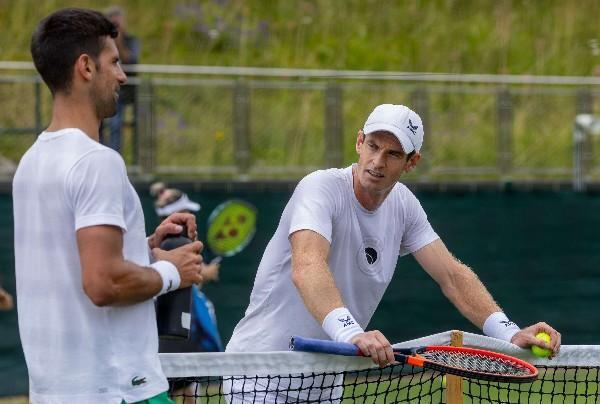 法国网球队轻取美国网球队，穆雷制霸全场的简单介绍