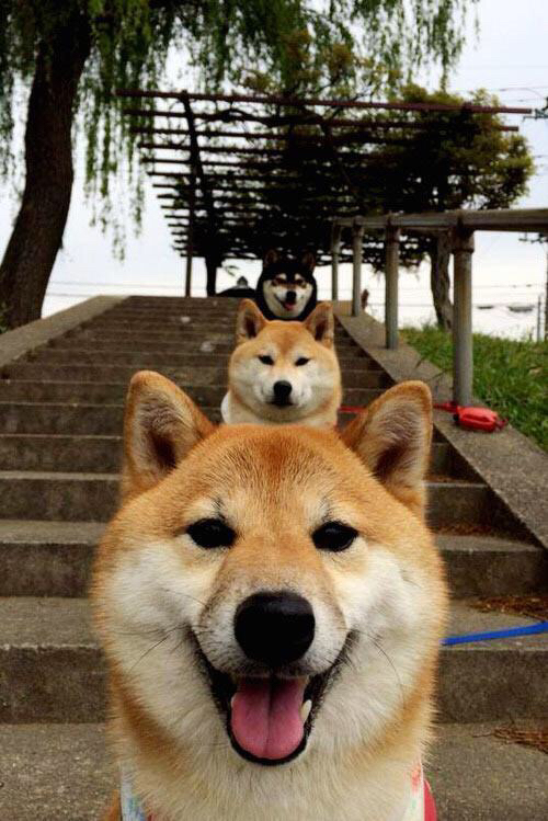 赛道上的艺术,萨内之夜,F1新赛季的璀璨启航