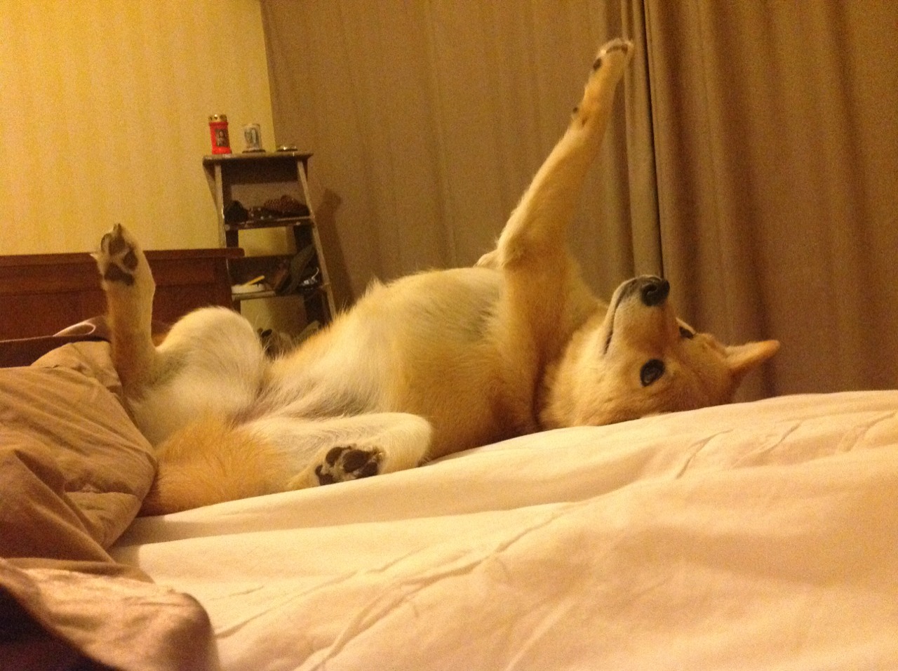 当东方魔法点亮亚平宁,久保建英的焦点战艺术与南非制霸巴拉圭的启示